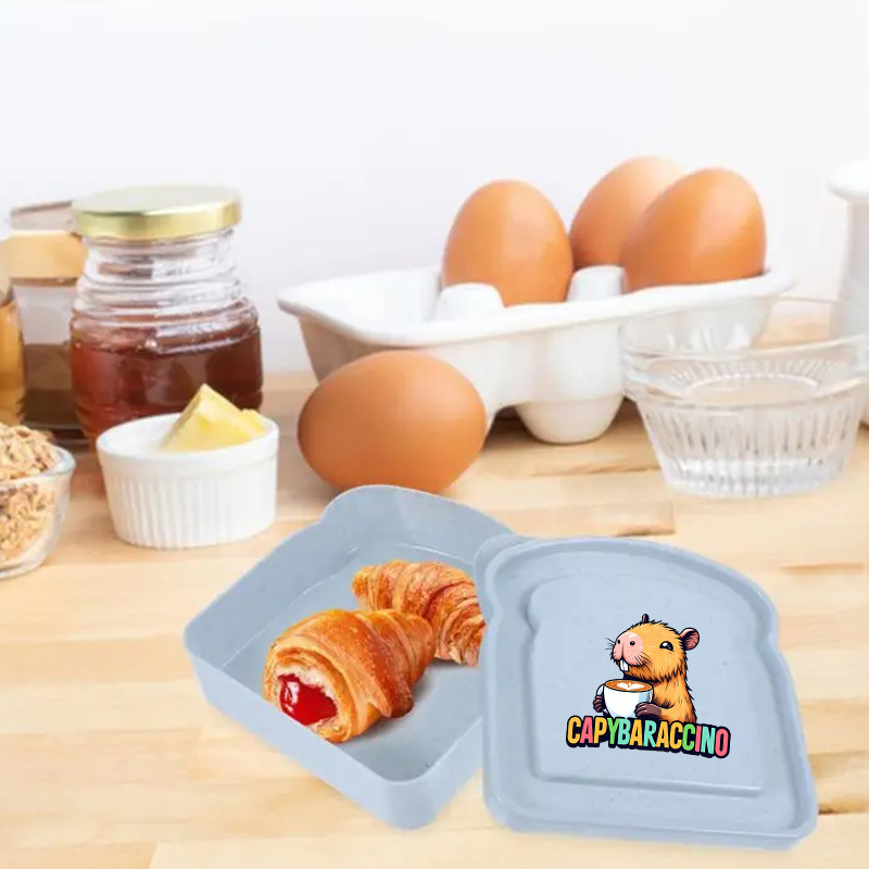카피바라 샌드위치 음식 보관 케이스 컨테이너 샐러드 과 - Microwave Oven 리뷰 및 가격