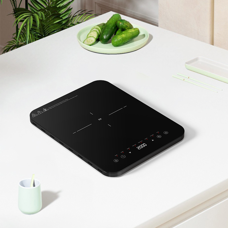듀얼 열분산 인덕션 쿠킹존, 독립형 인덕션 쿡탑, 터치 - Induction Cooktop Portable 리뷰 및 가격