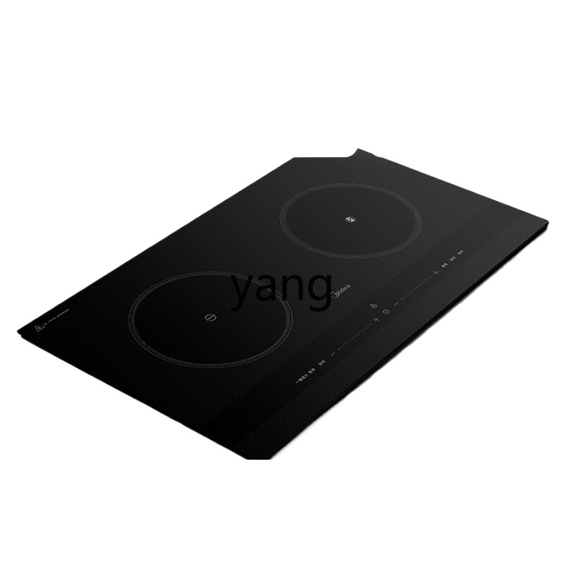 CX 인덕션 쿠커 더블 스토브 내장형 가정용 데스크탑  - Induction Cooker 리뷰 및 가격